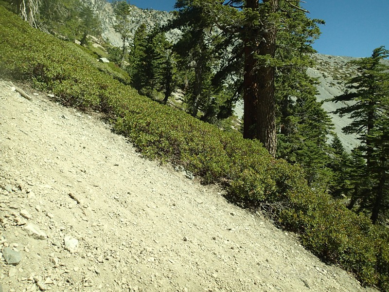 2014 Mt Baldy Cali 057.JPG - Summit Mt San Antonio (Mt Baldy) California